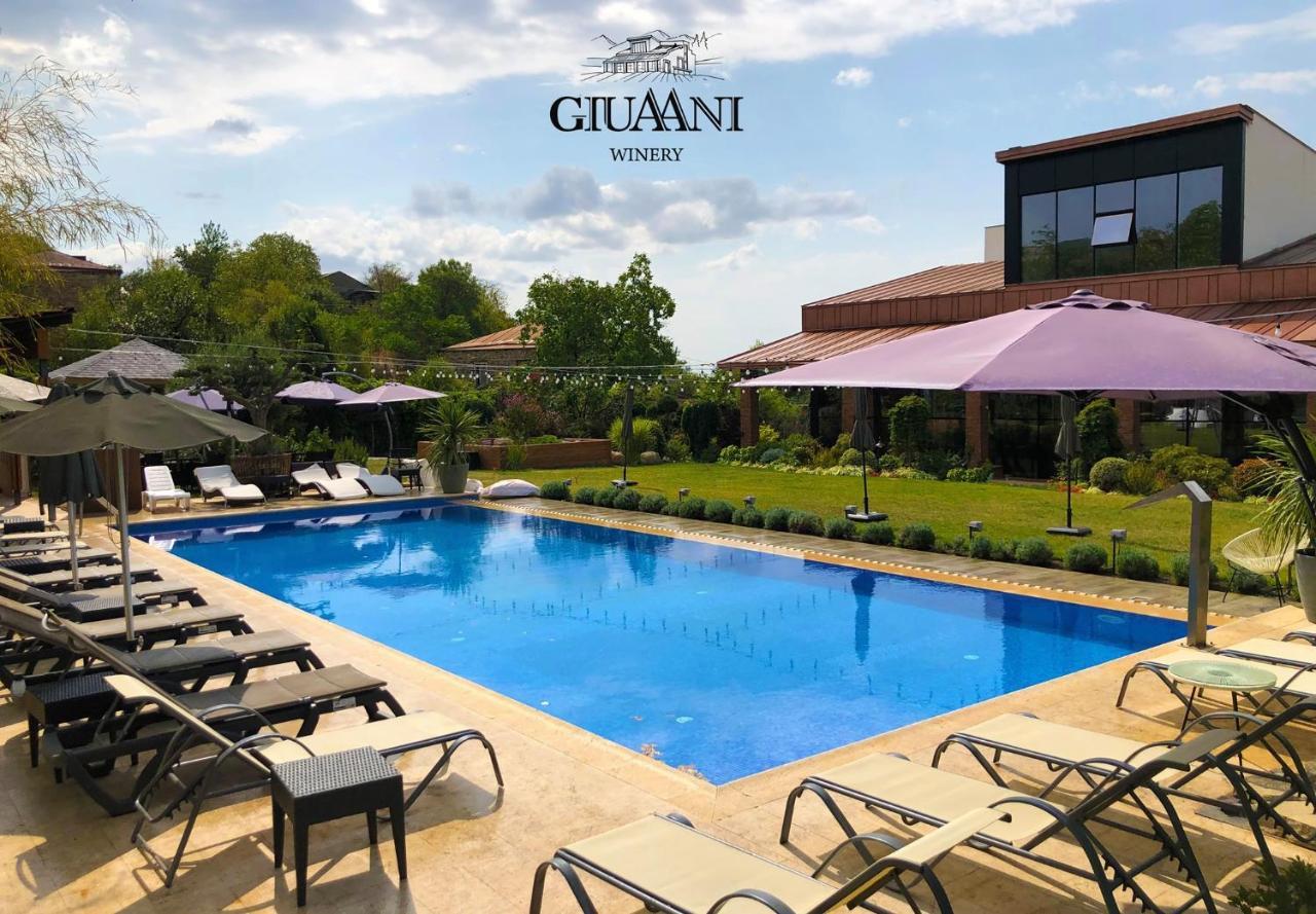 Giuaani Winery Hotell Manavi Eksteriør bilde